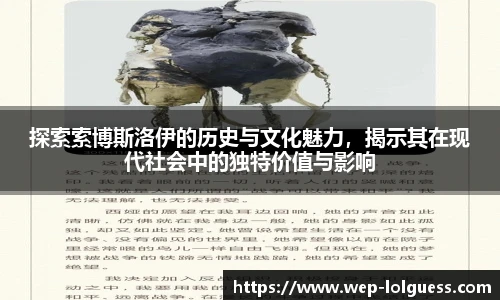 探索索博斯洛伊的历史与文化魅力,揭示其在现代社会中的独特价值与影响
